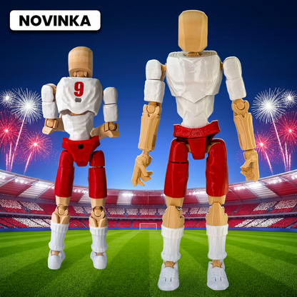 Fotbalista Polsko